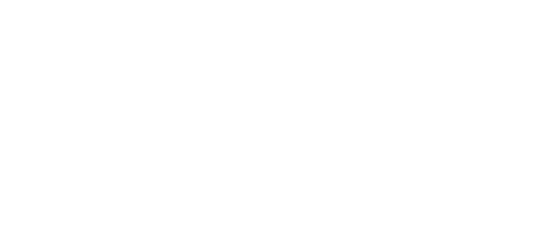פרויקט נגה
